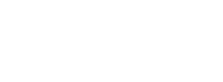 Kunde Domenig Logo